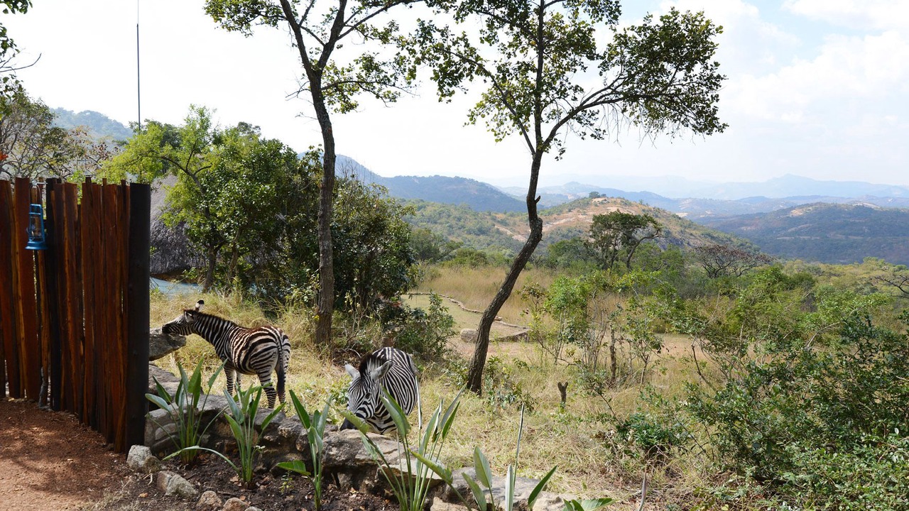 Photo of Others in Nelspruit