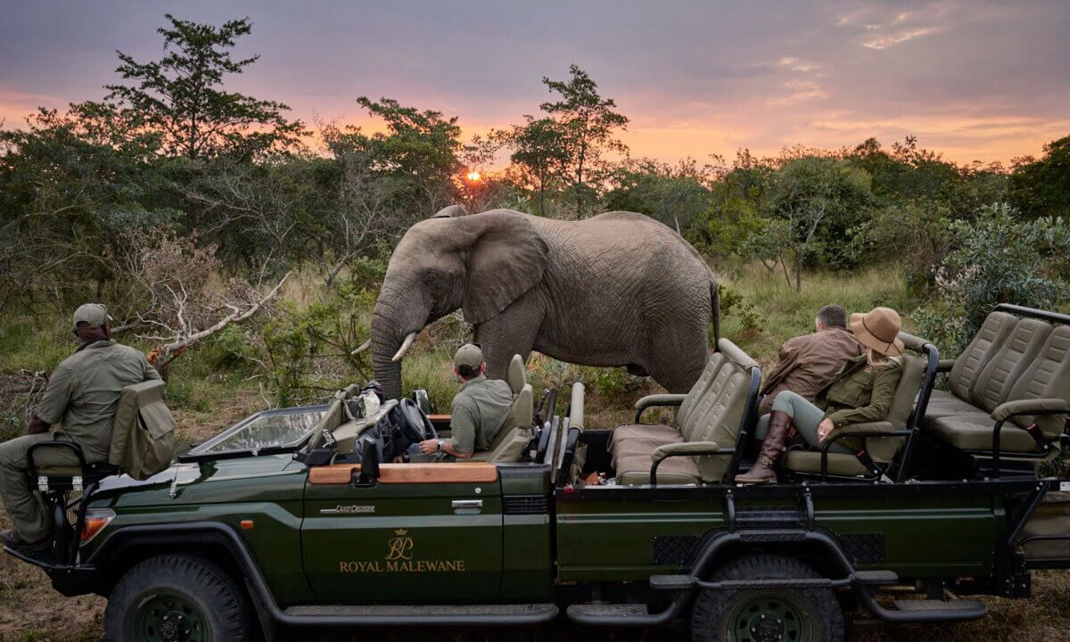 Photo of Others in Thorny Bush Game Reserve
