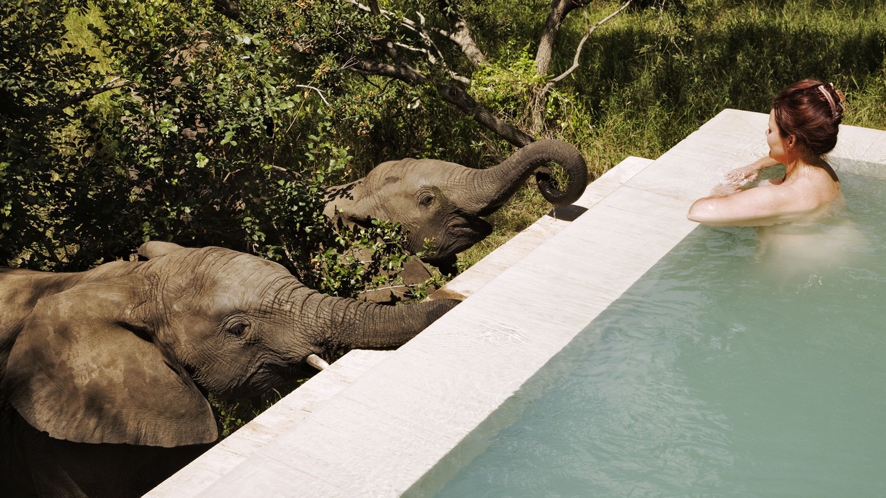 Photo of Others in Thorny Bush Game Reserve