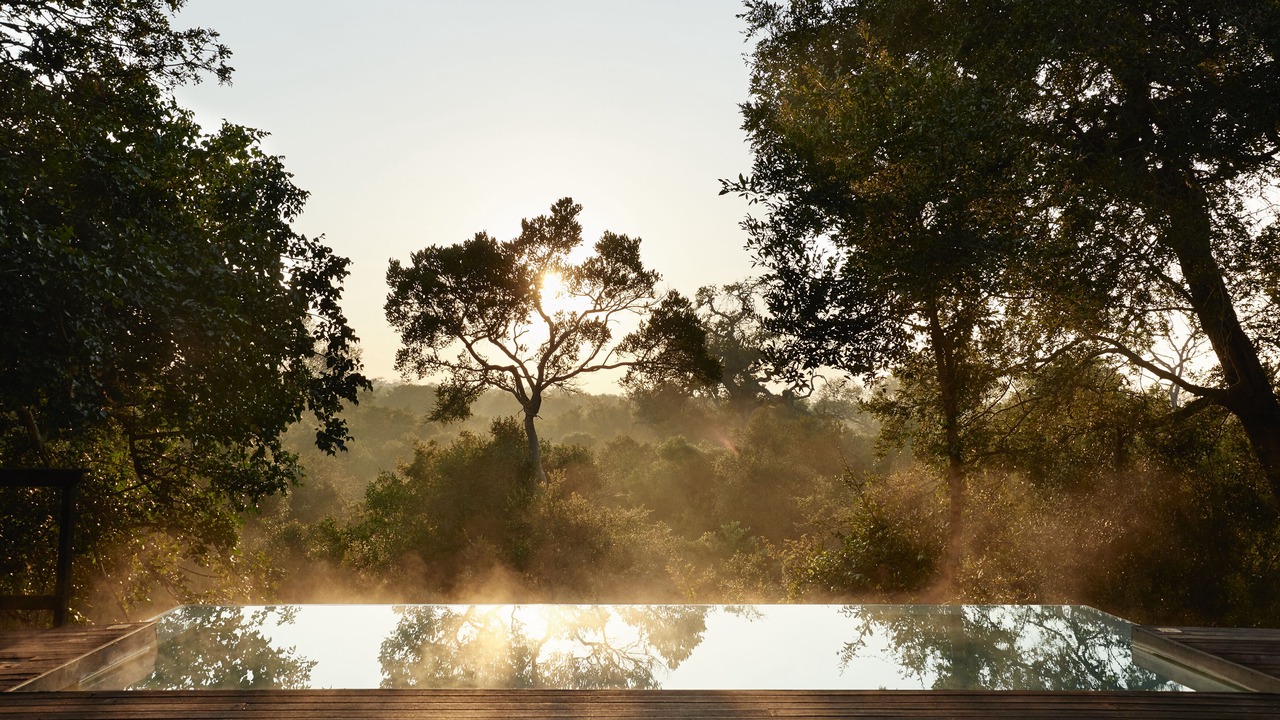 Photo of Others in Thorny Bush Game Reserve