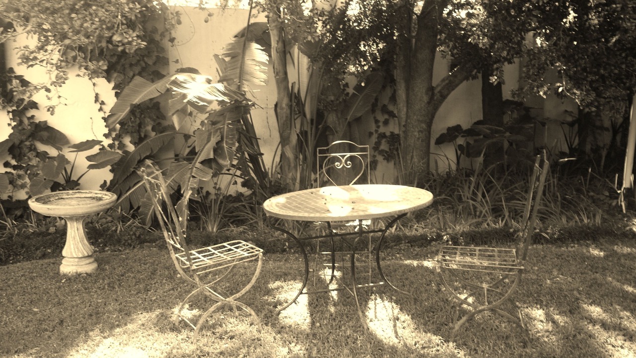Photo of Outdoor in Brooklyn