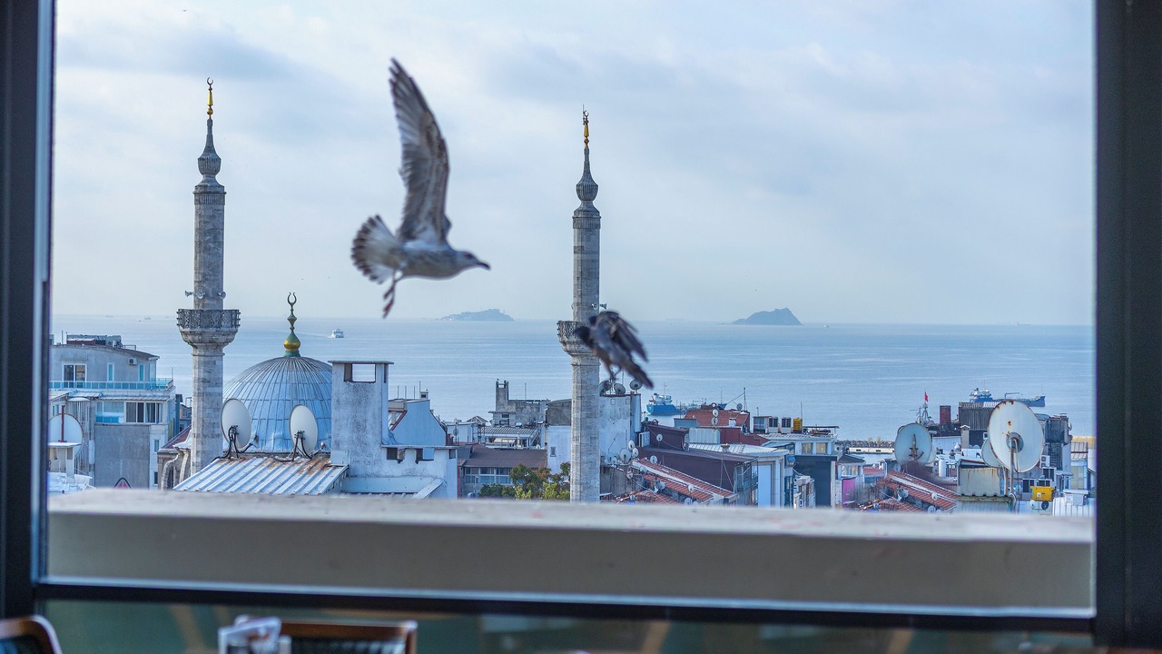Photo of Others in Beyazit