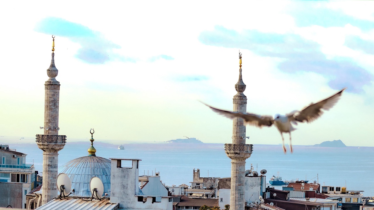 Photo of Outdoor in Beyazit