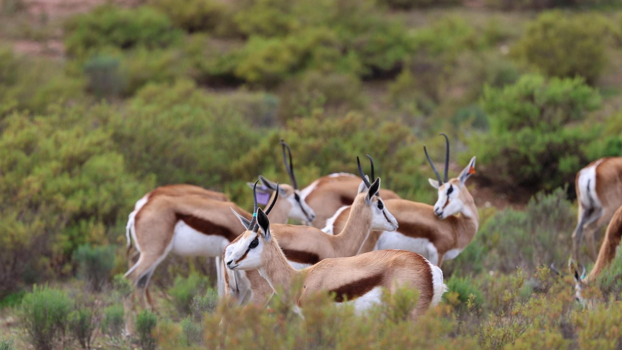 Photo of Outdoor in Bonnievale
