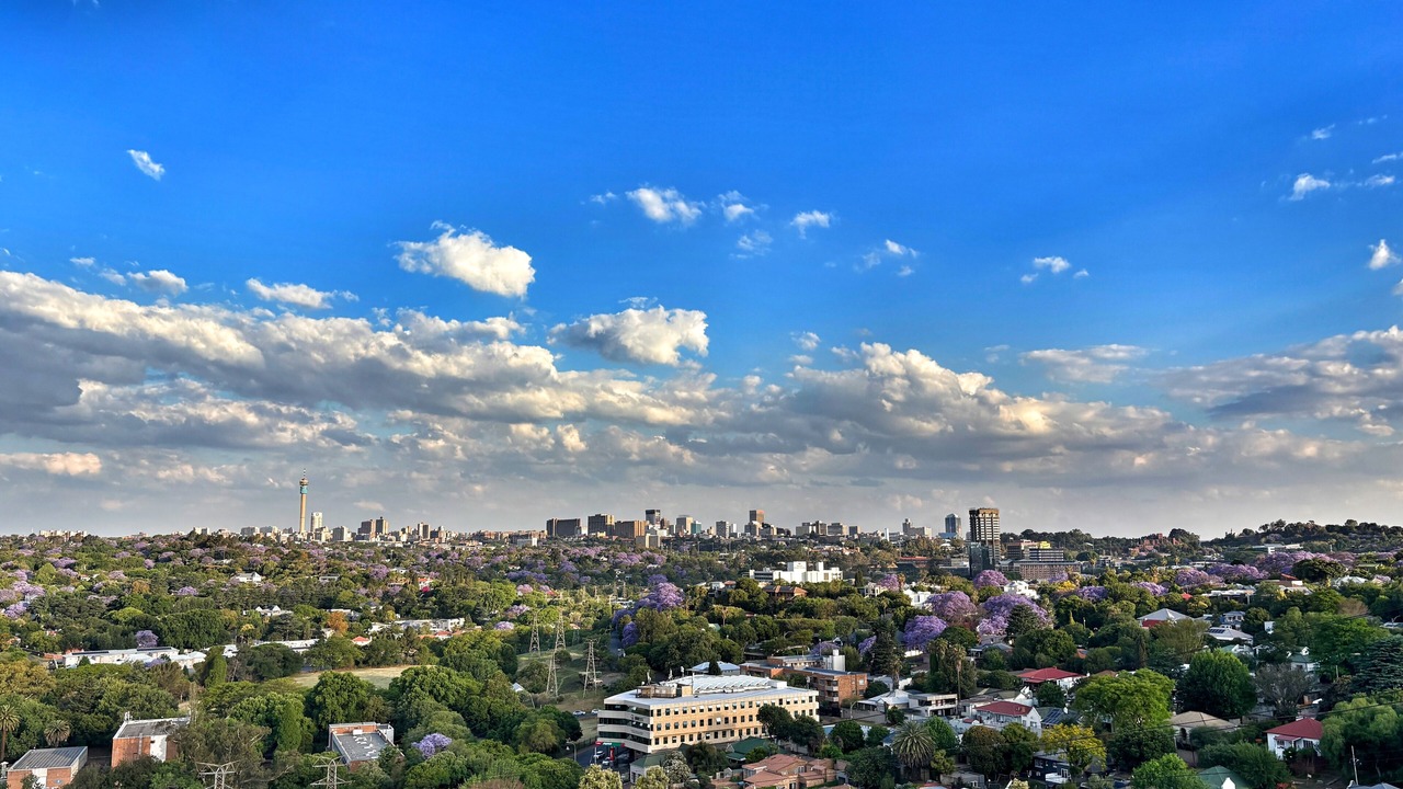 Photo of Others in Greater Johannesburg Metropolitan Area