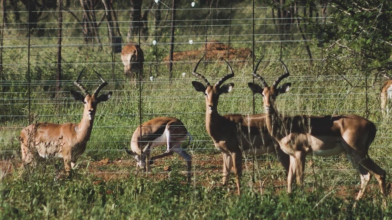 Photo of Outdoor in Cullinan