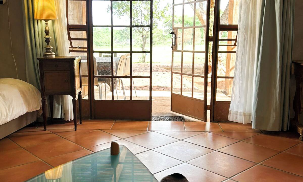 Photo of Others in Cullinan
