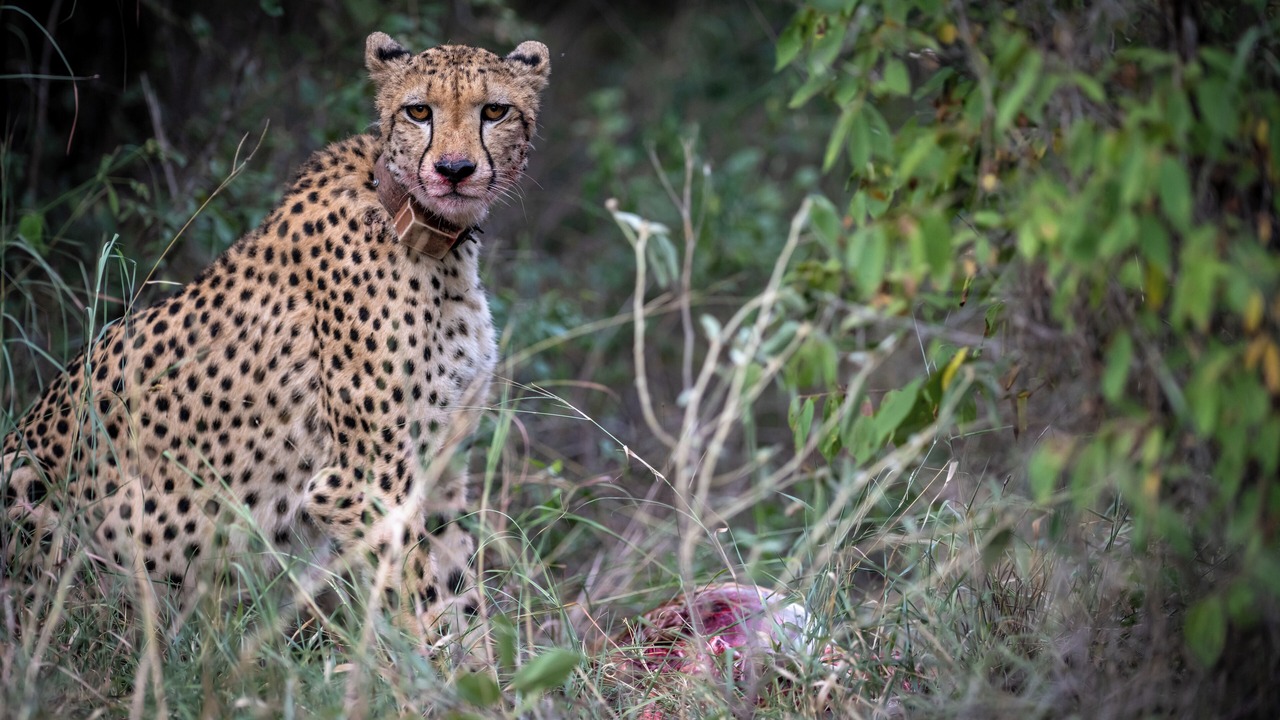 Photo of Others in Maruleng