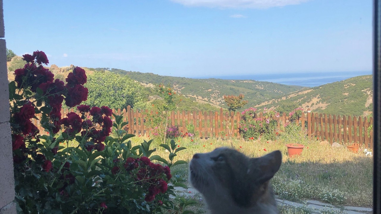 Photo of Outdoor in Ayvacik