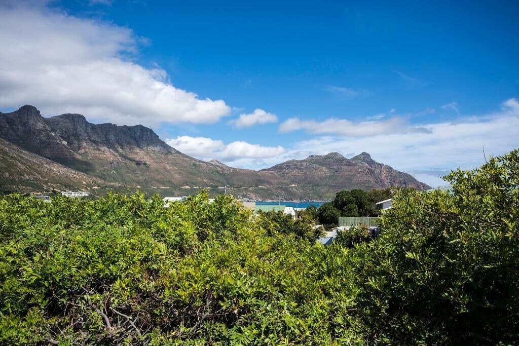 Photo of Others in Hout Bay