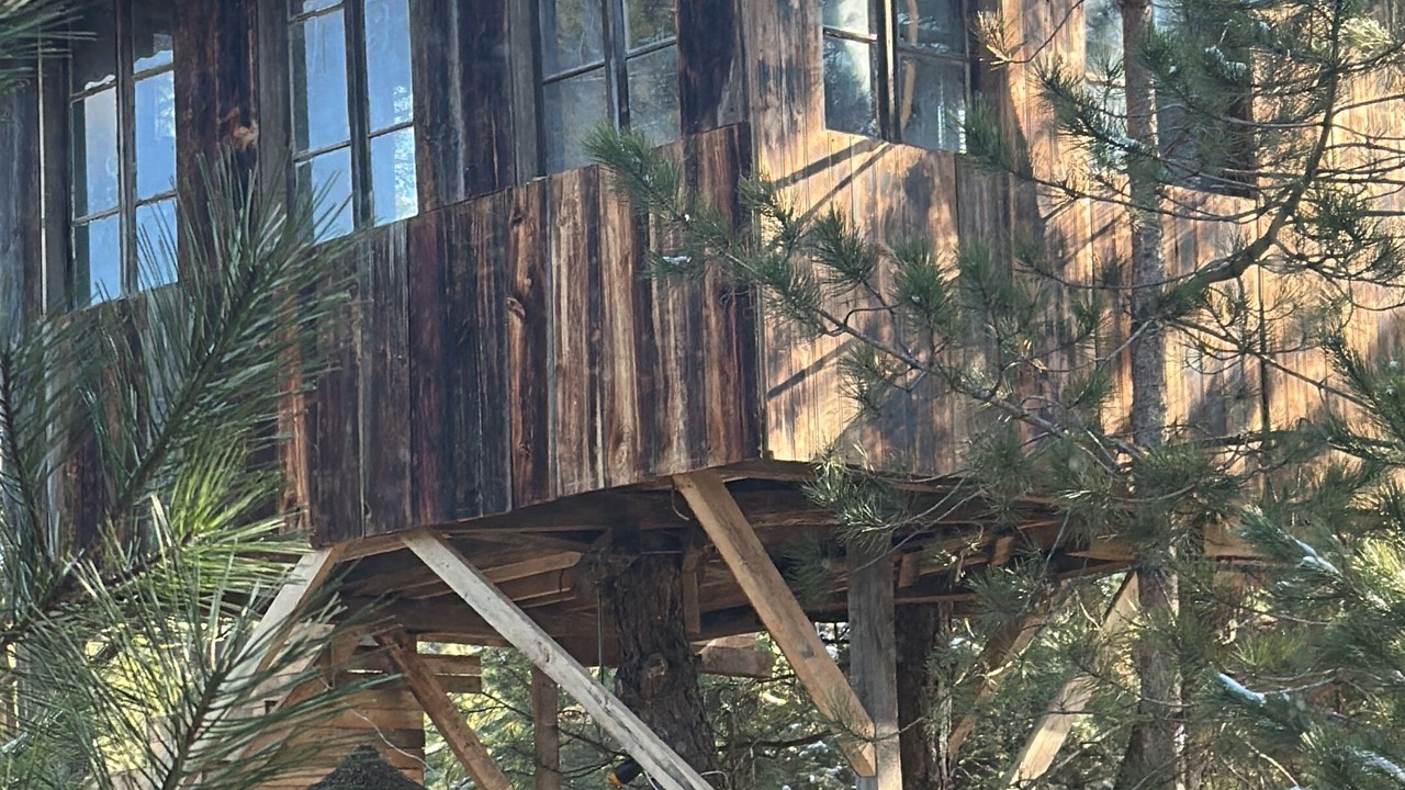 Photo of Outdoor in Mengen