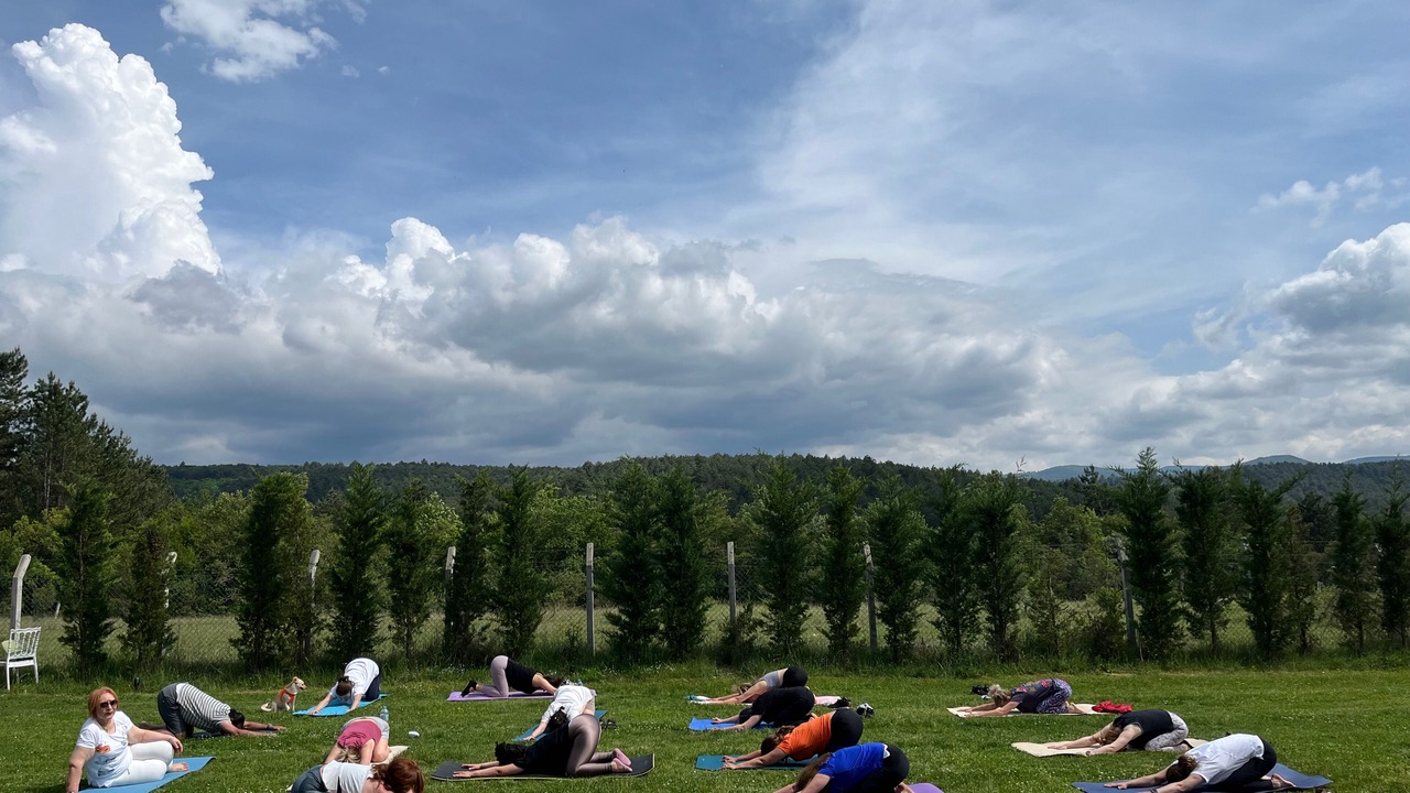 Photo of Outdoor in Mengen
