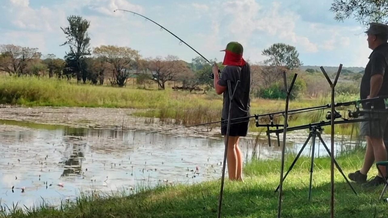 Photo of Others in Modimolle