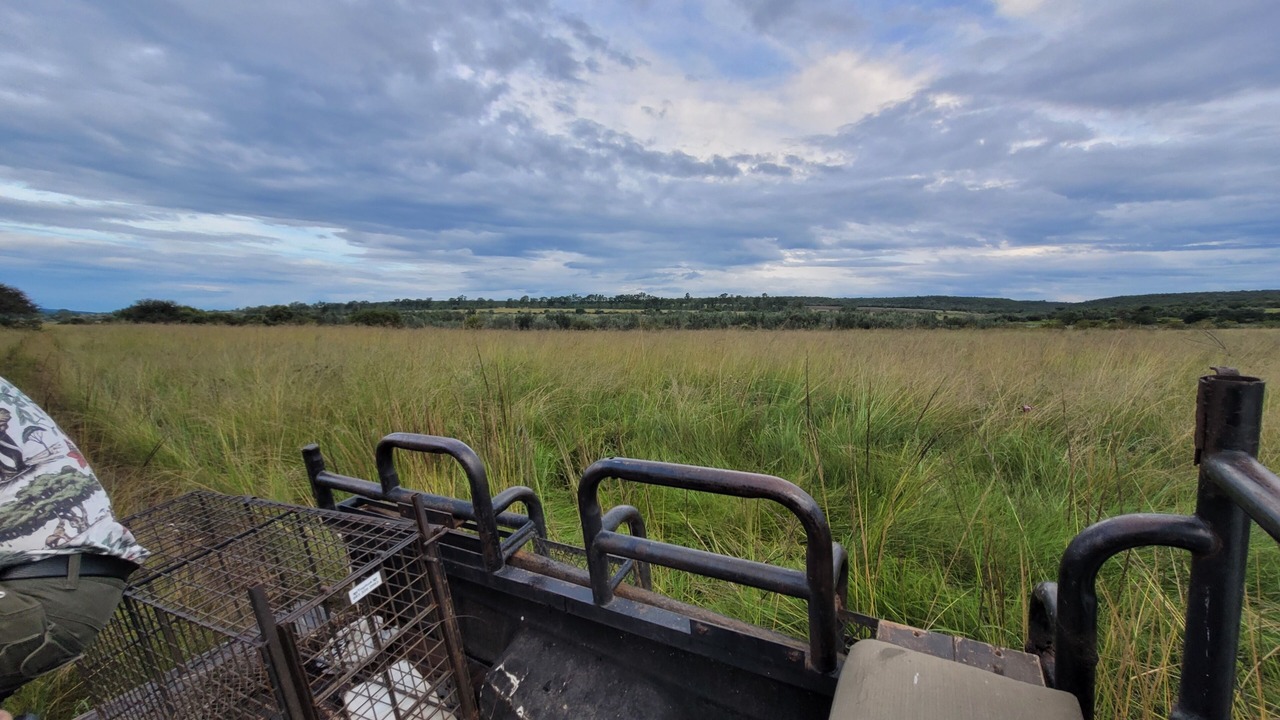 Photo of Outdoor in Modimolle