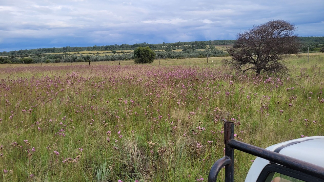 Photo of Outdoor in Modimolle