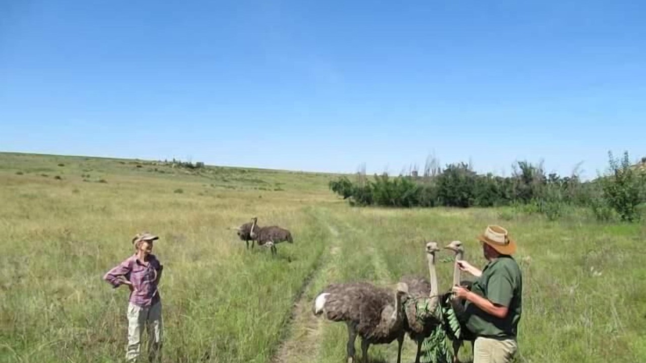 Photo of Others in Ficksburg