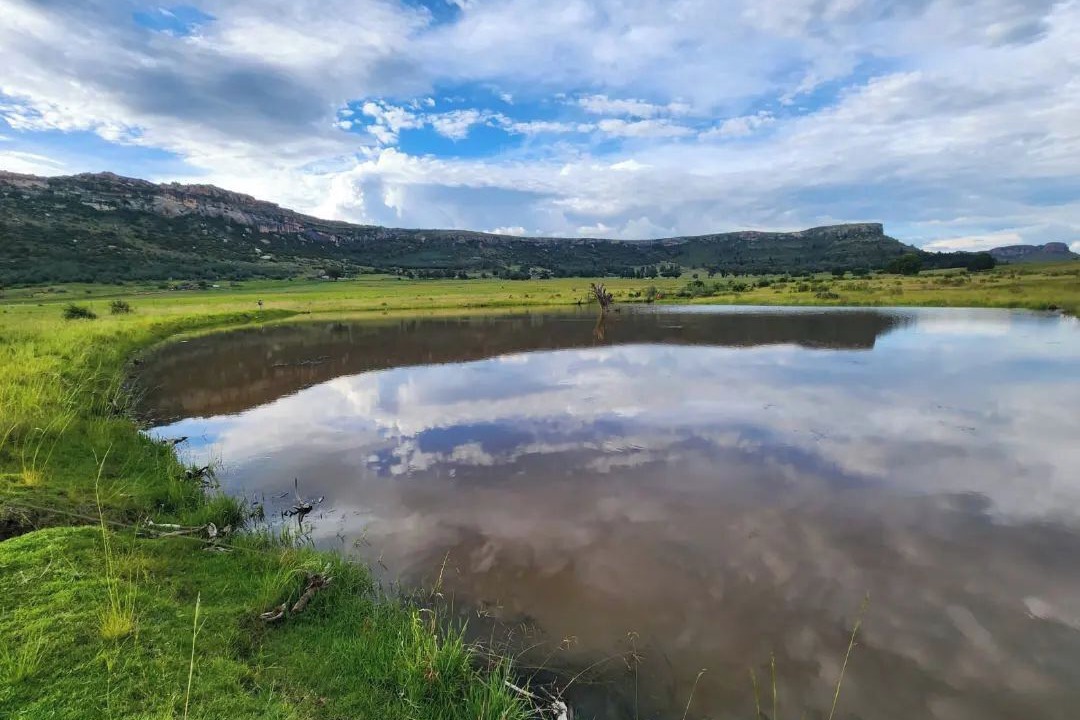 Photo of Outdoor in Ficksburg