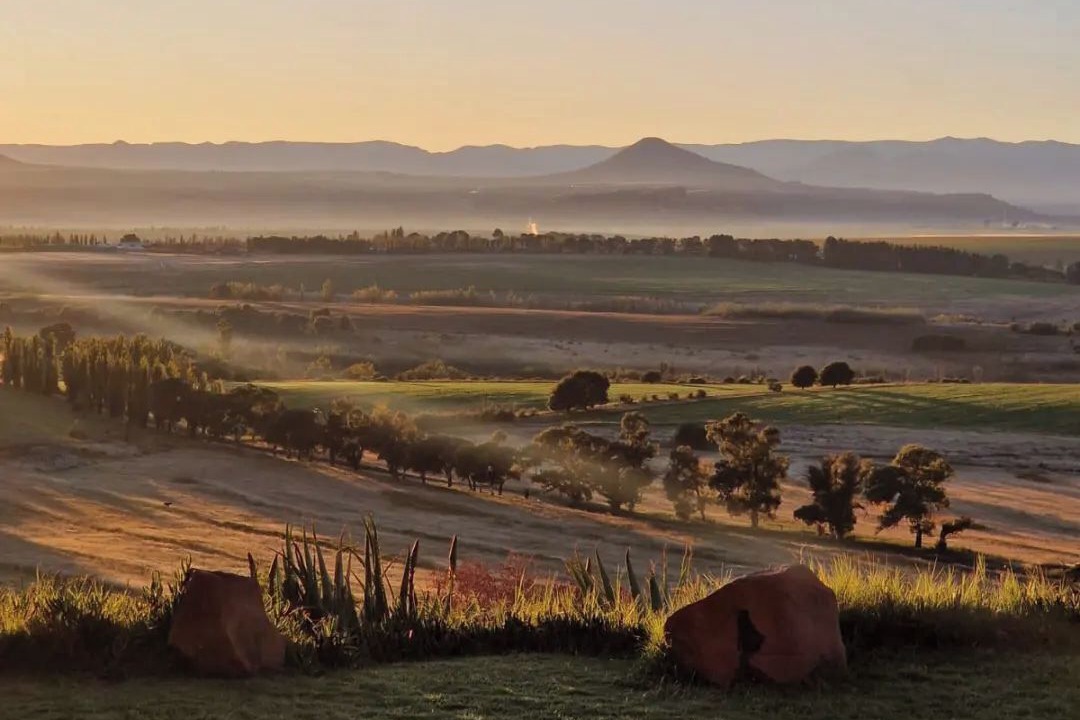 Photo of Others in Ficksburg