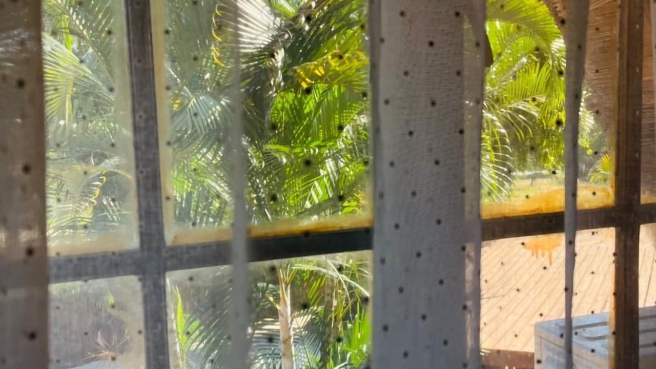 Photo of Patio Balcony in Greater Tzaneen