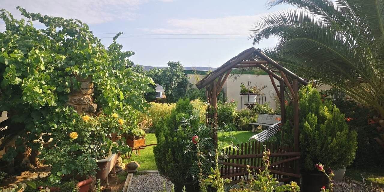 Photo of Outdoor in Calvinia