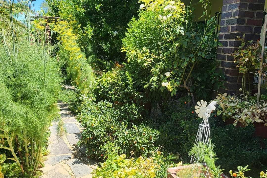 Photo of Outdoor in Calvinia