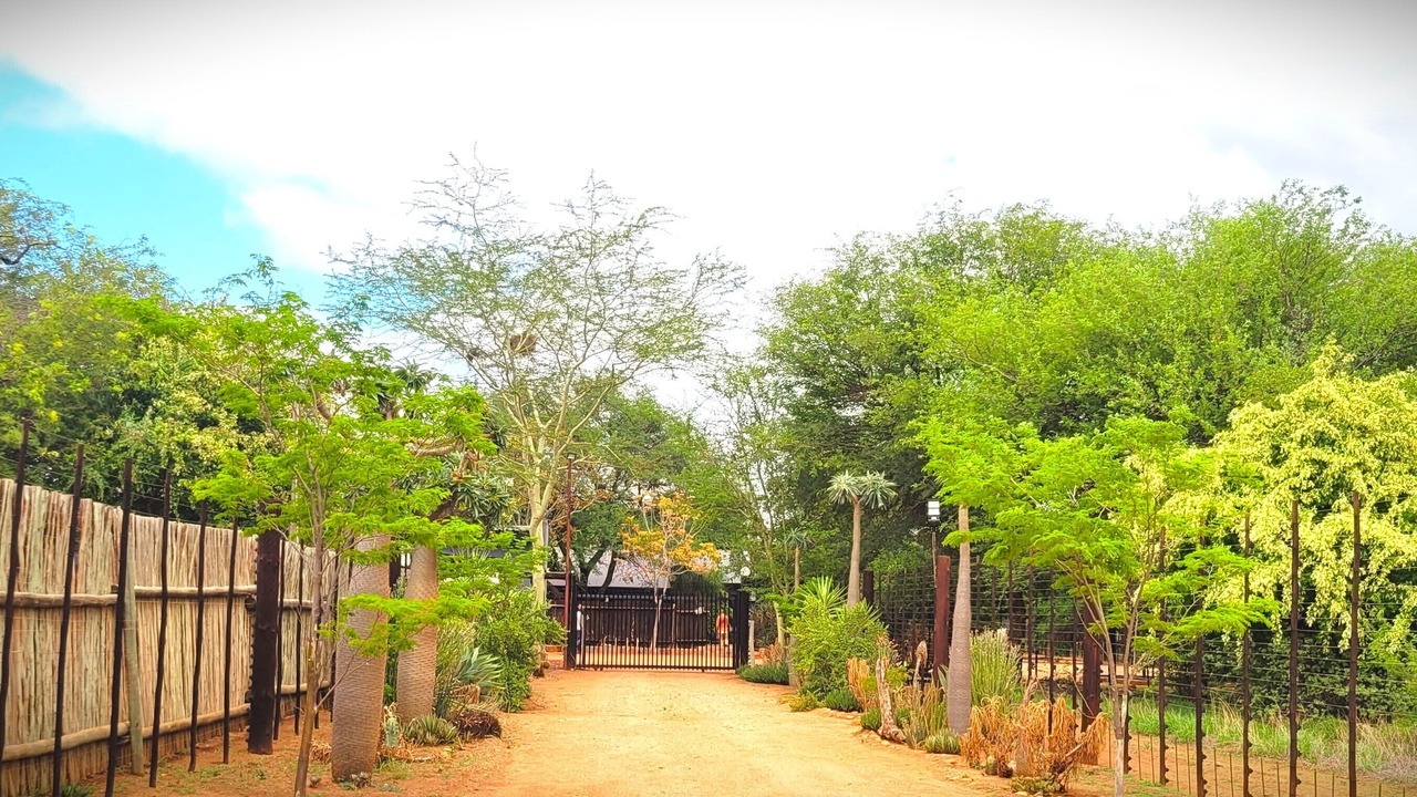 Photo of Outdoor in Vivo
