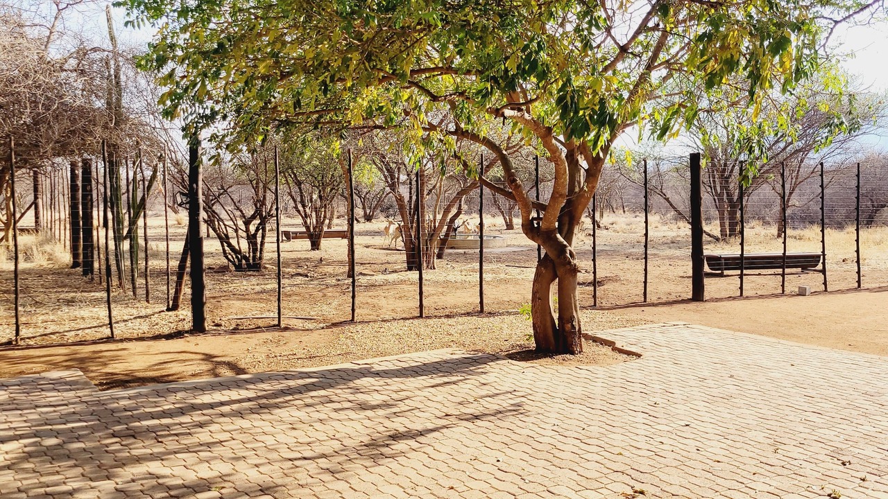 Photo of Outdoor in Vivo