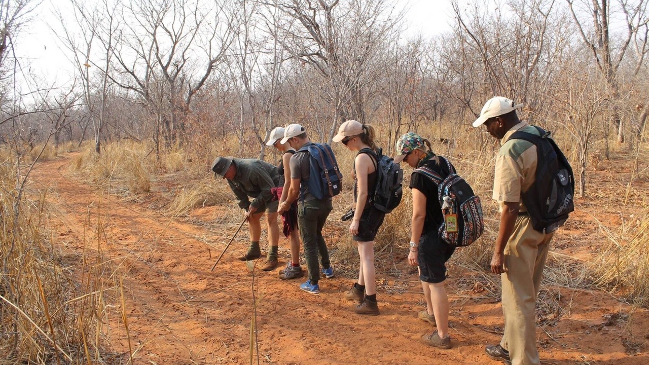 Photo of Others in Thorny Bush Game Reserve