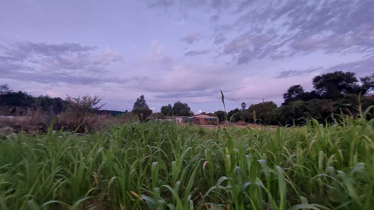Photo of Others in Bethulie