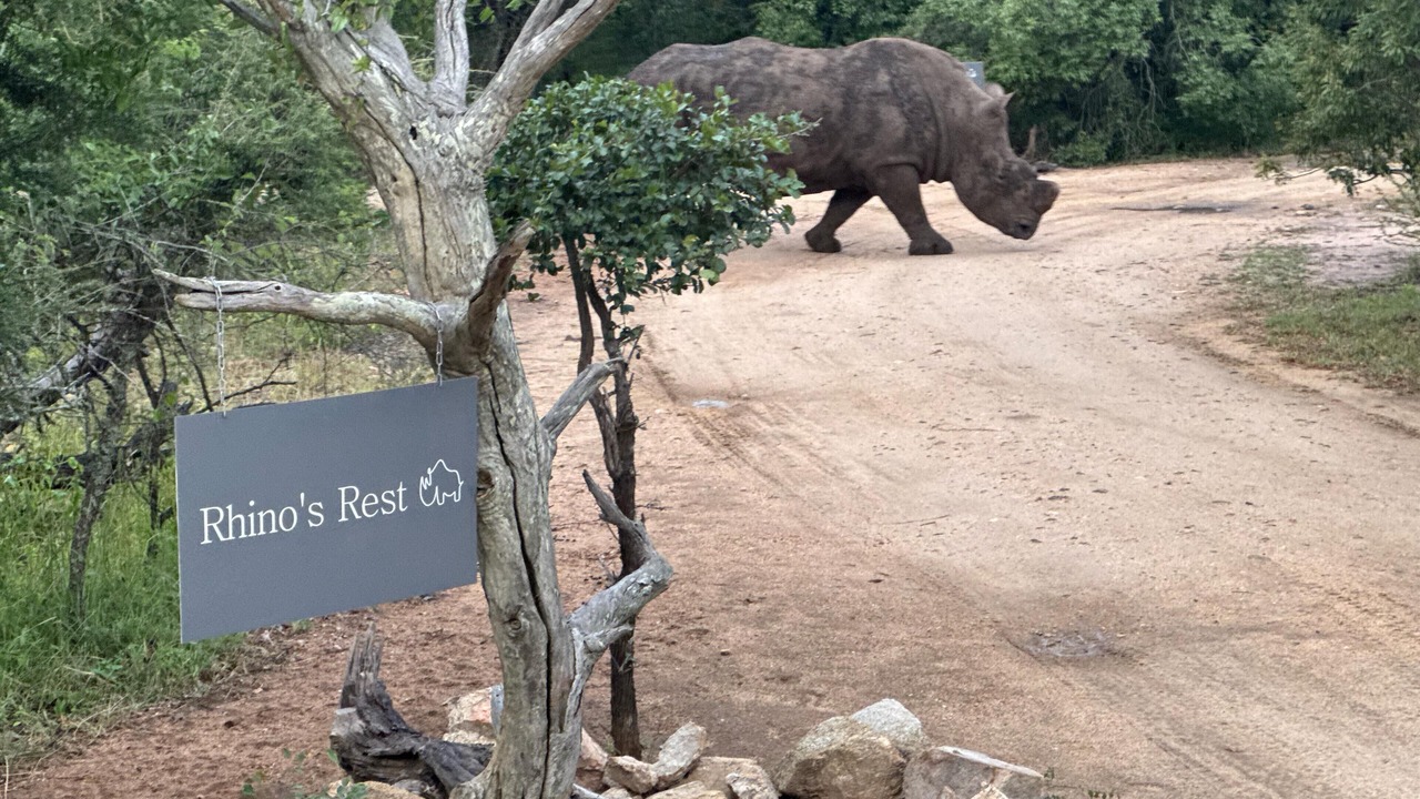 Photo of Others in Thorny Bush Game Reserve