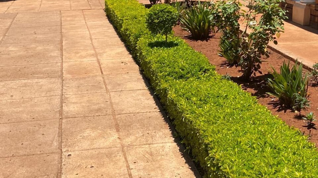 Photo of Outdoor in Madibeng