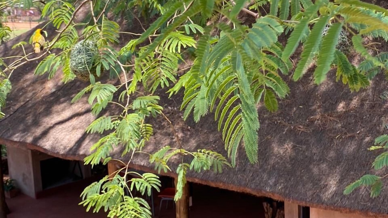 Photo of Outdoor in Madibeng
