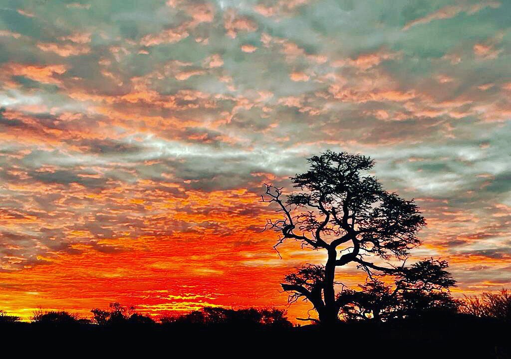 Photo of Outdoor in Joe Morolong