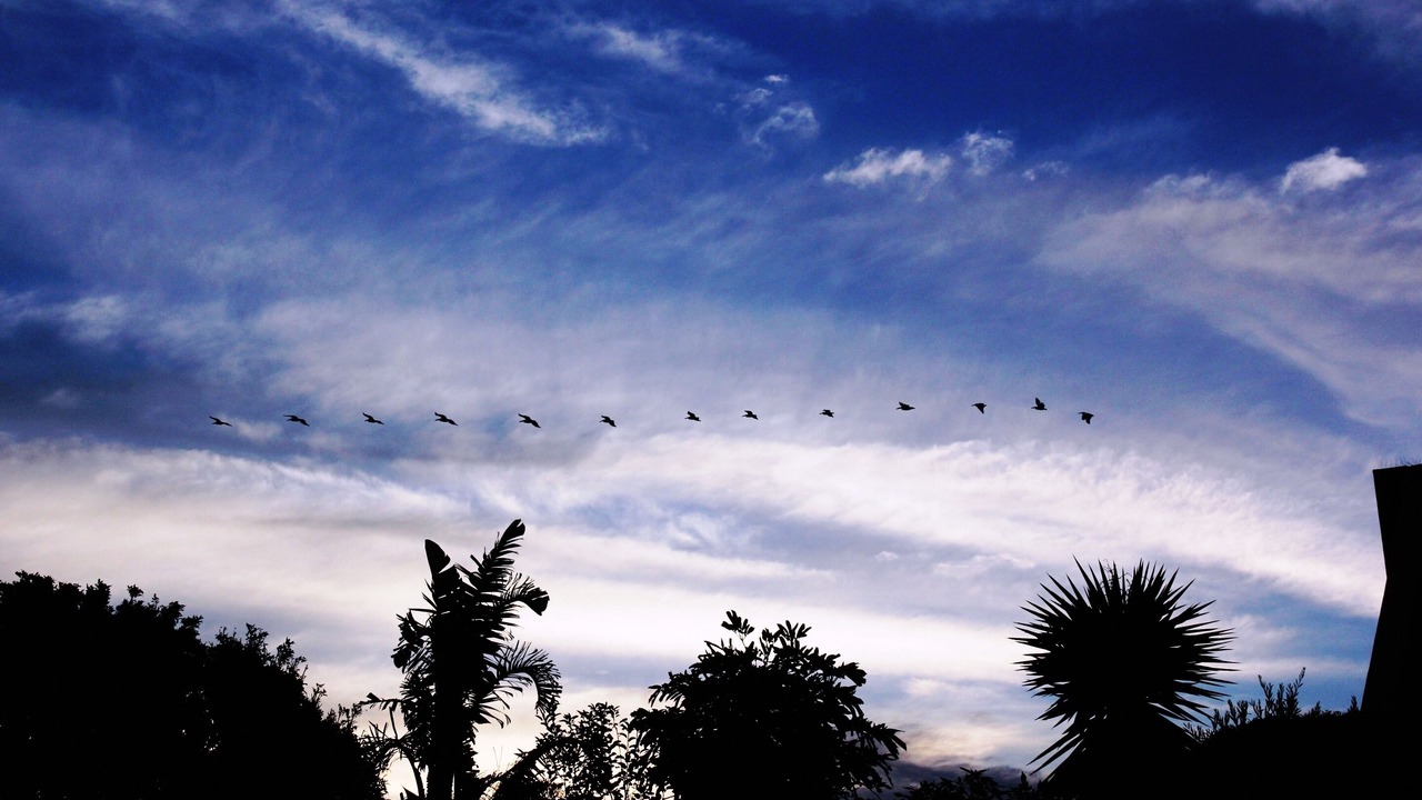 Photo of Others in Flamingo Vlei