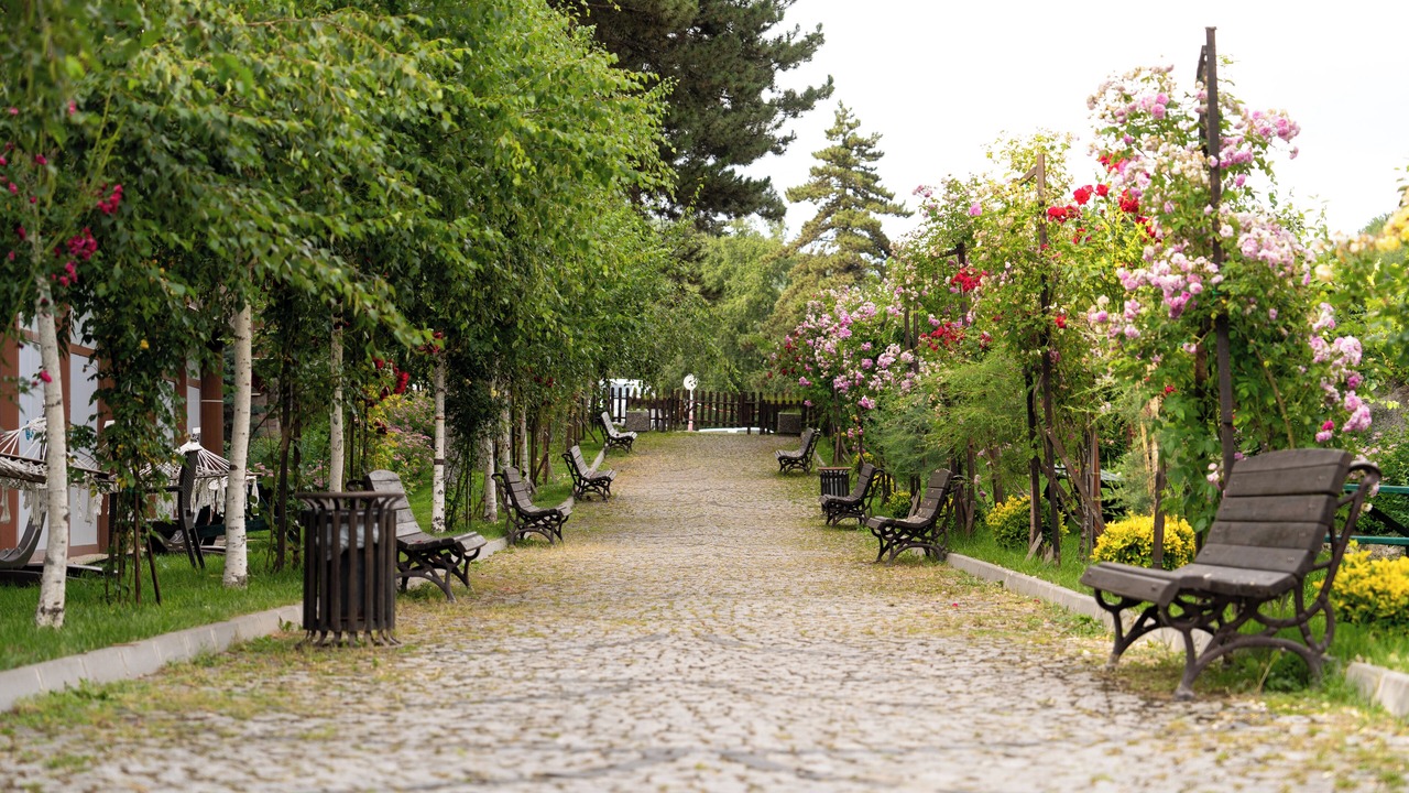 Photo of Outdoor in Kizilcahamam