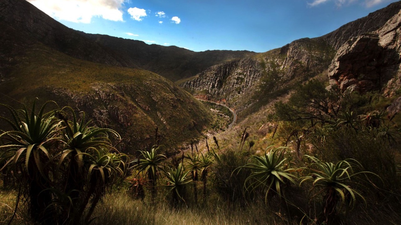Photo of Outdoor in Barrydale