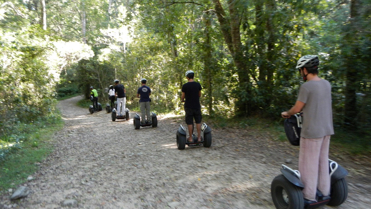 Photo of Others in Storms River