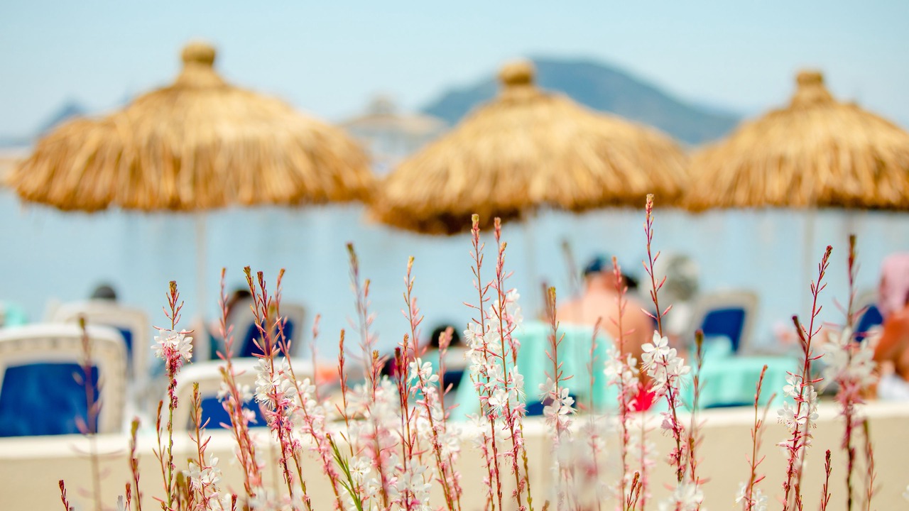 Photo of Outdoor in Turgutreis