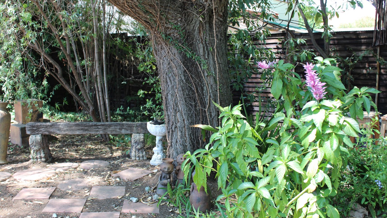 Photo of Outdoor in Edenvale