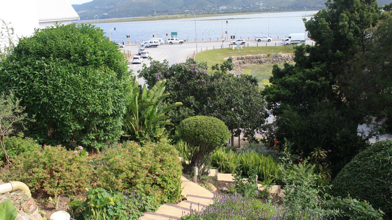 Photo of Outdoor in Paradise