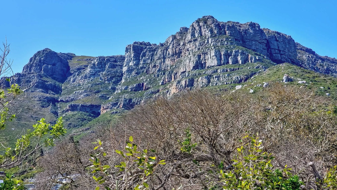 Photo of Others in Hout Bay