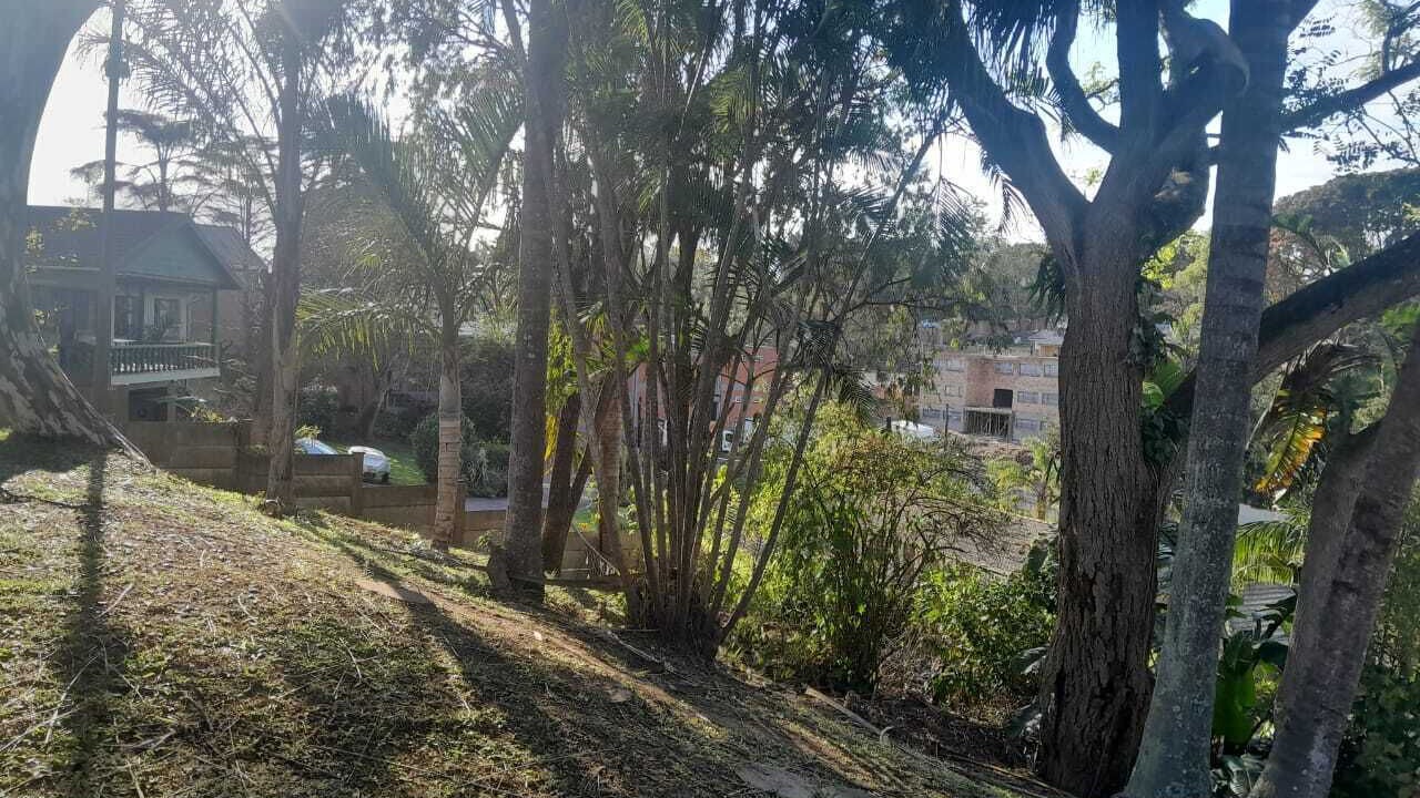 Photo of Outdoor in Westville
