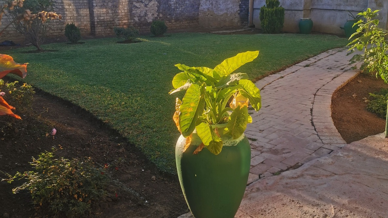 Photo of Outdoor in Mahikeng