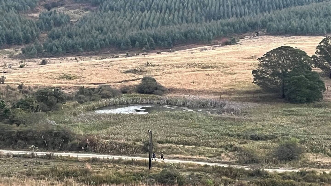 Photo of Others in Merrivale