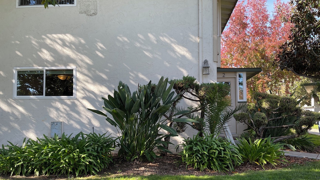 Photo of Others in Los Gatos