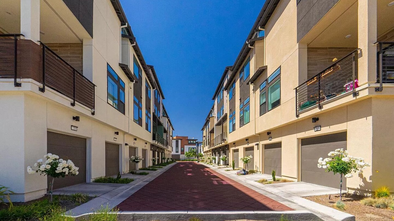 Photo of Outdoor in East San Mateo