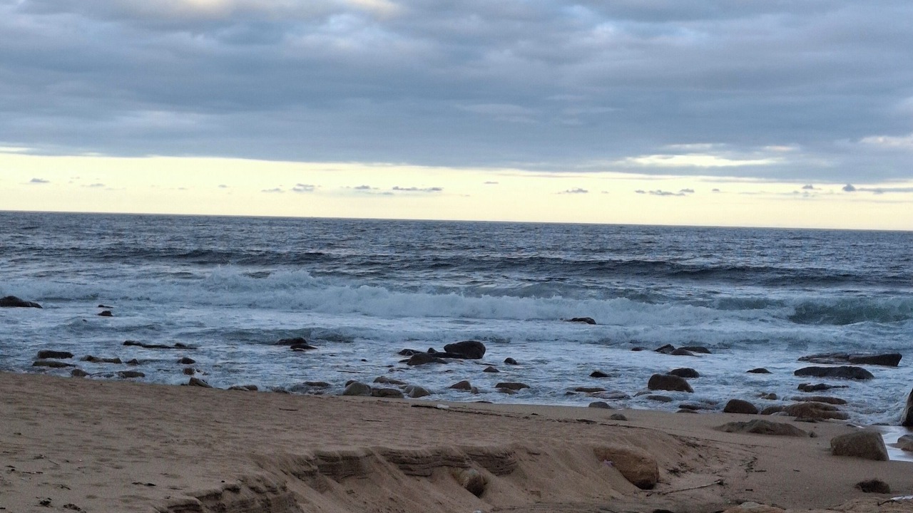 Photo of Others in Manaba Beach