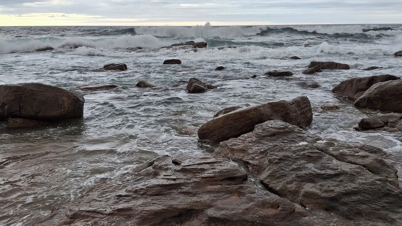 Photo of Others in Manaba Beach