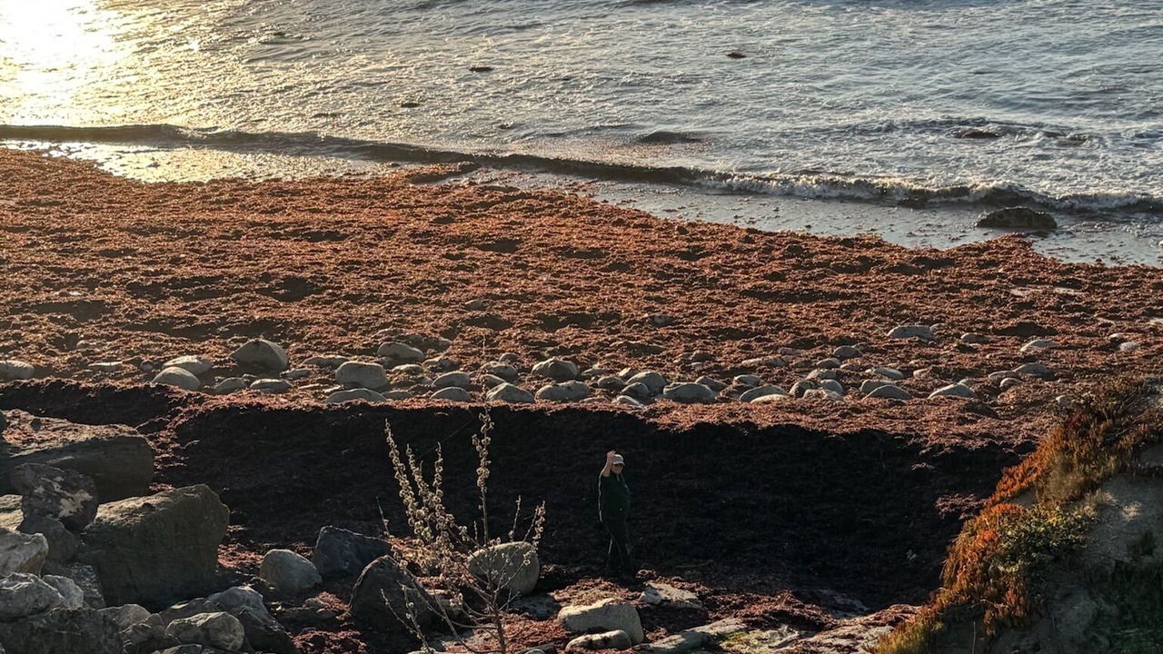 Photo of Others in Moss Beach