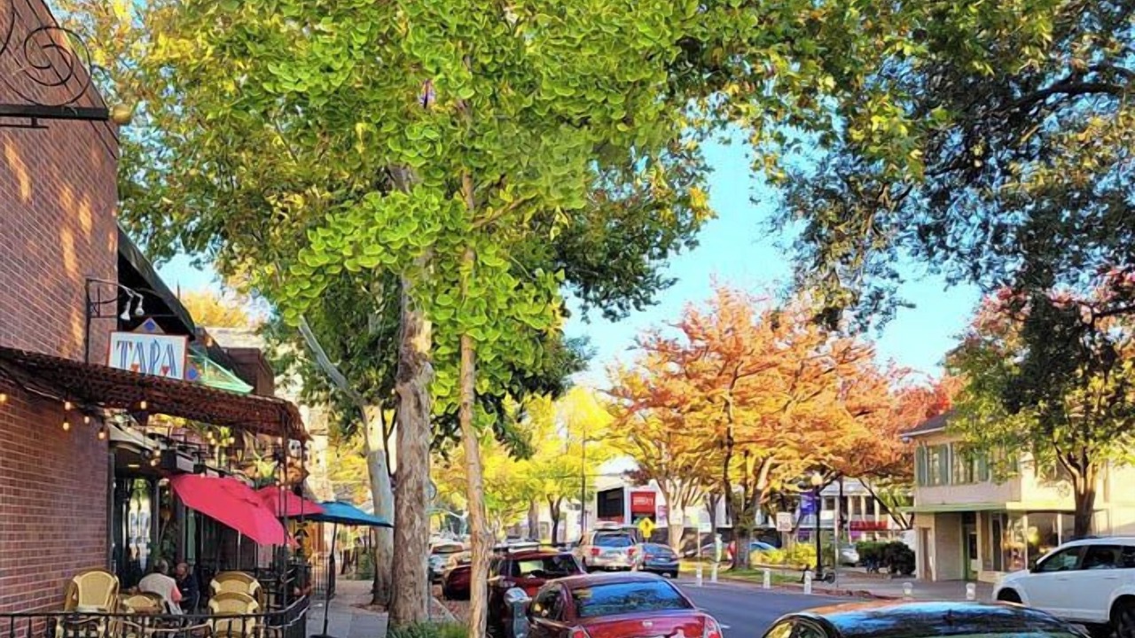 Photo of Others in North Oak Park